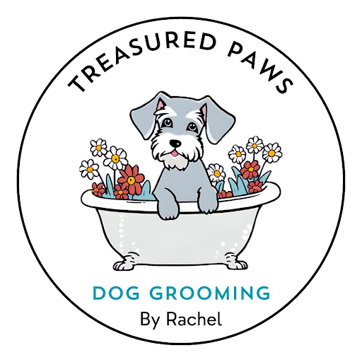 Cover photo of Treasured Paws Dog Grooming